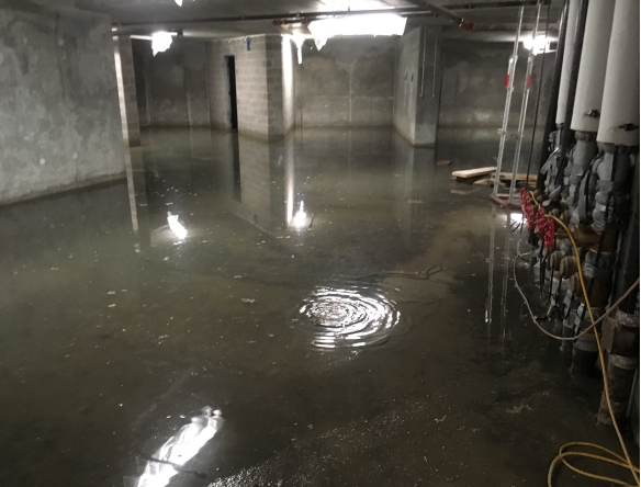Spring Can Cause Sewer Backup Problems, How To Clean Up Basement Sewage