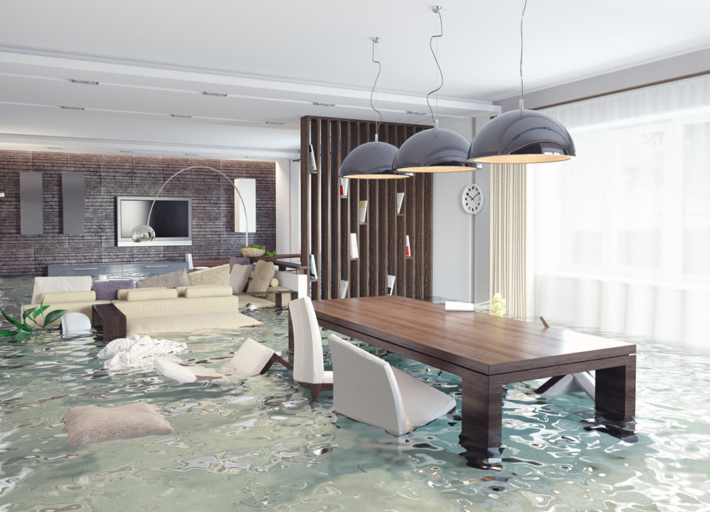 water damage cleanup services